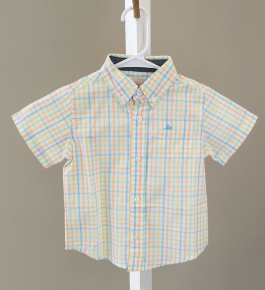 Petit Four/Golden/Reed/Peach S/S Dress Shirt
